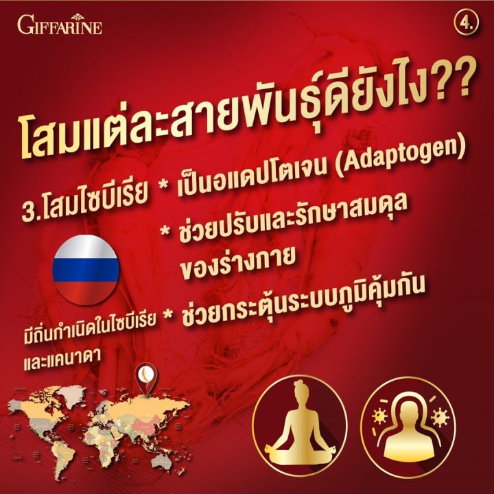 โสม-โสมแดง-ทรีจี-จินเส็ง-จินเซ็ง-3g-กิฟฟารีน-สกัดจากโสมแดงเกาหลี-ginseng-giffarine