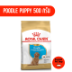 อาหารลูกสุนัข Royal Canin Poodle Puppy อาหารสุนัข สูตรลูก พุดเดิ้ล ขนาด 500g - 1.5 kg.