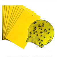 10/20/30Pcs Yellow Fly Traps Sticker Gnat Trap Sticky Bug Pest Catcher Kit