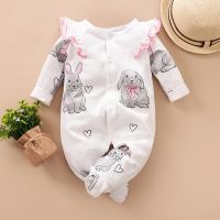 Newborn Baby Girl Clothes Rabbit New Born Infant Pajama Jumpsuit Onesies Footed Footie Toddler FallClothing 0 3 6 9 12 Months