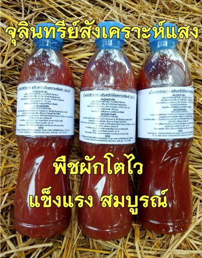 จุลินทรีย์สังเคราะแสง-psb-ขนาด-600-ml-หัวเชื้อ