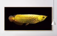 รอบเจาะ5D งานประดิษฐ์ทำด้วยตัวเองภาพวาดเพชร "Arowana" 3D เย็บปักถักร้อยงานปักครอสติช5D ตกแต่งบ้าน