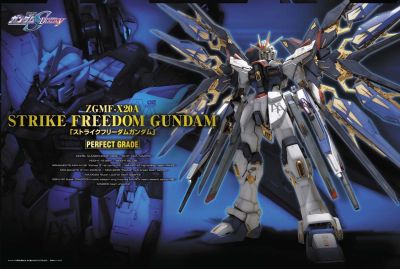 พรีออเดอร์ pg strike freedom