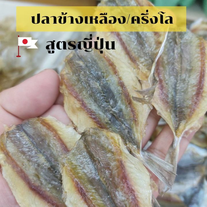 ปลาข้างเหลืองญี่ปุ่น-ปลาข้างเหลืองไม่งา-ปลาหวานข้างเหลืองเกรด-a-ปลาข้างเหลืองหวาน-500-กรัม-อาหารทะเลแห้ง-อาหารทะเลแปรรูป-monpak