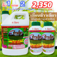 [พร้อมส่ง] เซียนข้าวเขียว ขนาด 4 ลิตร 1แถม2 ปุ๋ย ฮอร์โมน ยาฉีดข้าว ปู่ยฉีดข้าว ฮอร์โมนบำรุงข้าว  ปุ๋ยน้ำ อะมิโน