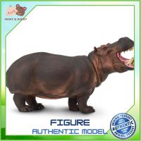 Safari Ltd. : SFR111889 โมเดลฮิปโป WW Hippopotamus Model Action Figure Cartoon แอกชั่น ฟิกเกอร์ ของเล่น ของสะสม ของเล่นเด็ก ตุ๊กตา Mamy and Buddy