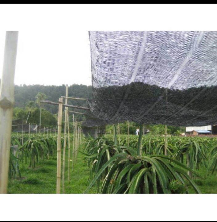Sun shade netting orkid net orchid netting bumbung uv pokok