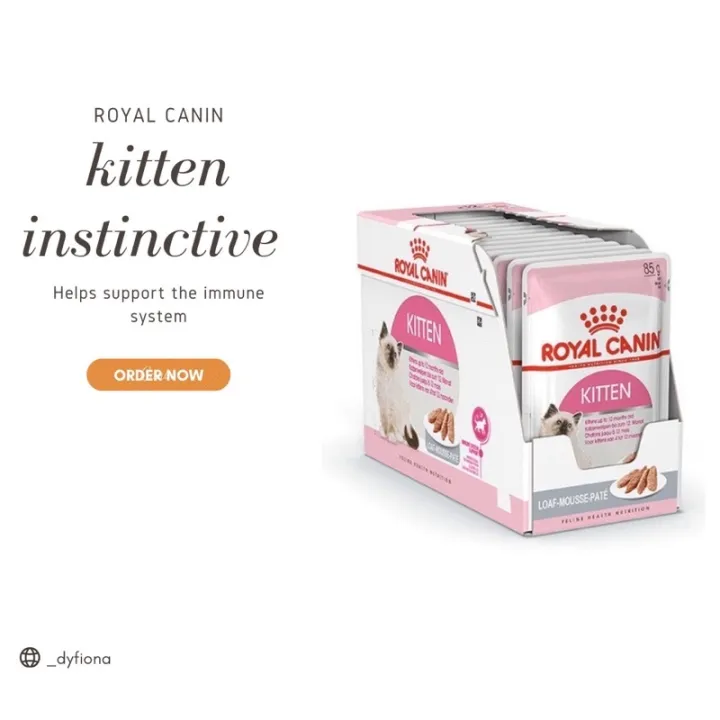 wet kitten food | Royal Canin wet kitten food | Fiona Dys Shop | Lazada PH