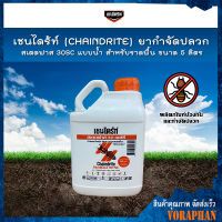 เชนไดร้ท์ (CHAINDRITE) ยากำจัดปลวก สเตดฟาส 30SC แบบน้ำสำหรับราดพื้น ขนาด 5 ลิตร