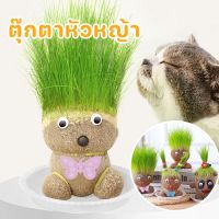 【Truth】ตุ๊กตาหัวหญ้า หญ้าแมวธรรมชาติแท้ หญ้าสัตว์เลี้ยง ตุ๊กตาหญ้าแมว ขนมแมว หญ้าแมวอินทรีย์