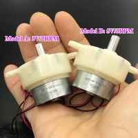 Yingke Dc 3V 2Rpm/Dc 5V 3prm เล็ก300เทอร์โบหนอนมอเตอร์เกียร์ความเร็วต่ำเกียร์32มม. กระปุกเกียร์เพลาเกลียวโมเดลของเล่น Diy