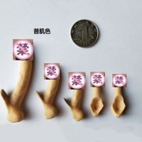 1/6 Scale Accessories Male Genital Parts Silicone Penis Model for 12 Inches Jiaou Doll Tbleague Action Figure Hobby Collection
