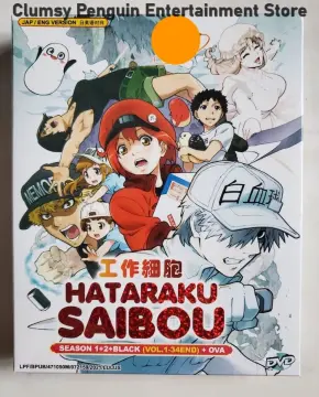 Hataraku Saibou, Season 2