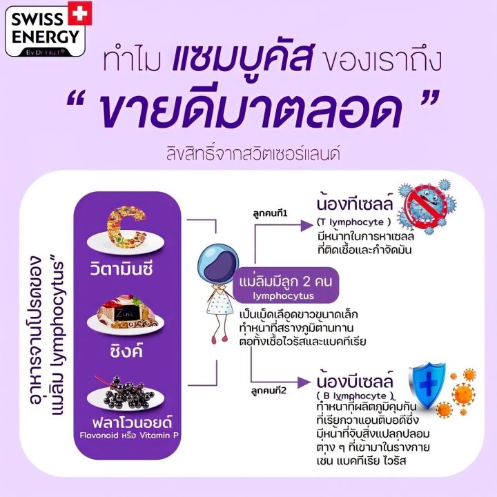 ส่งฟรี-swiss-energy-sambucus-gold-ซื้อคู่-2-หลอด-สร้างภูมิคุ้มกันร่างกาย-ลดภูมิแพ้-มีวิตามินจำเป็นต่อร่างกาย-ดูแลสุขภาพ