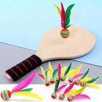 Big Head Sports Supplies Chinese Jianzi Game Indoor Outdoor Kick Balls Colorful Shuttlecocks Cricket Feather Badminton