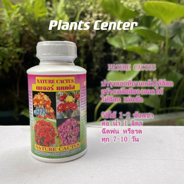 plants-center-พร้อมส่ง-ปุ๋ยแคคตัส-ปุ๋ยกระบองเพชร-ปุ๋ยน้ำ-4-สูตร-250cc-เนเจอร์-อัลฟ่า-บลูม-แคคตัสพลัส-สำหรับบำรุงต้น-เร่งดอก-หนาม-ทุกสายพันธุ์