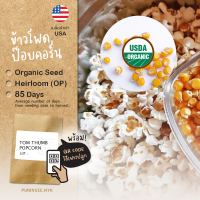 1 แถม 1 เมล็ดผักนำเข้า ข้าวโพดป๊อปคอร์น Tom Thumb Popcorn (Organic Seed) Corn ข้าวโพด