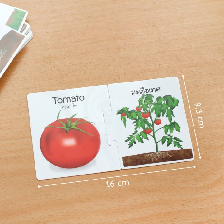 ถูกที่สุด-ลด-30-บัตรจับคู่-flash-cards-2-ภาษา-ต้นและผลผลิต-ชุดผัก-40-ชิ้น-ของขวัญ-sale