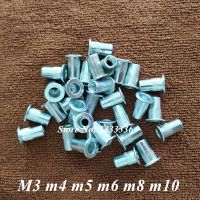 M3 M4 M5 M6 M8 M10 M12 Rivet Nuts Carbon Steel Zinc Plated Flat Head Rivet Insert Nuts Countersunk Blind Inserts Cap Rivnuts