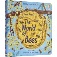 Usborne look inside the world of bees