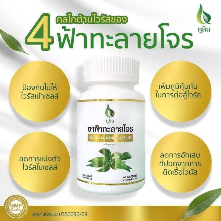 ฟ้าทะลายโจร-อภัยภูเบศร-500-มก-60แคปซูล-มีแอนโดรกราโฟไลท์-10mg-ของแท้-s0063