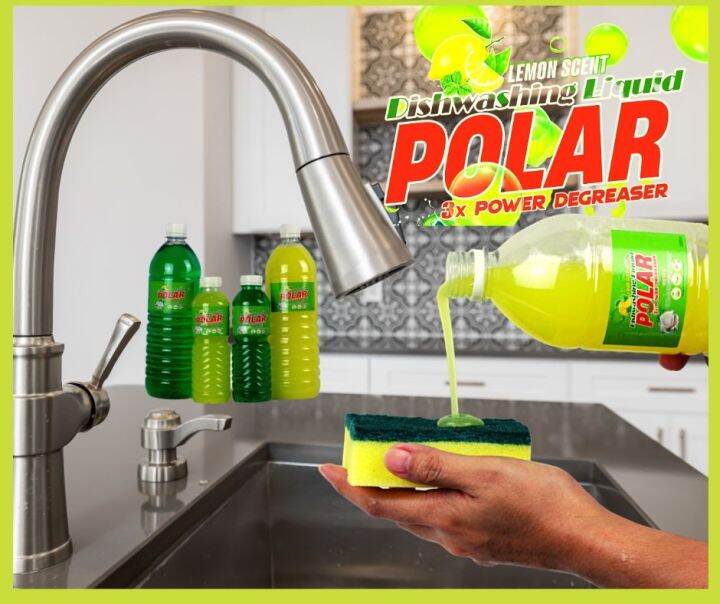 500ML POLAR Dishwashing Liquid soap Lemon AND Calamansi scent Lazada PH
