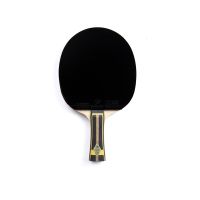 New Arrival Lemuria ZJK Super ZLC Table Tennis Blade Glued With Pimples In Rubber Offensive Ping Pong Bat 4 Free Gifts