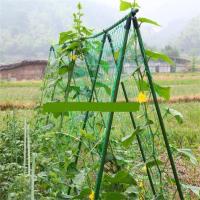 Multi Use Plant Climbing Net Polyethylen Plant Trellis พืชที่ใช้ซ้ําได้ปีนสวนไฮโดรโปนิกส์เครือข่ายอุปกรณ์เสริมพืช