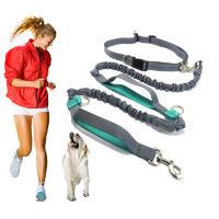 product Dog Leash Running belt Jogging Sport Adjustable Nylon Dog rope With Reflective Strip Accessories Hands Free