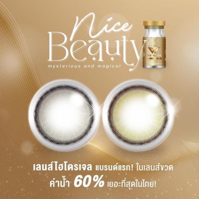 คอนแทคเลนส์ WE Wink Nice Beauty(Gray,Brown) ค่าสายตา 0.00 ถึง -10.00