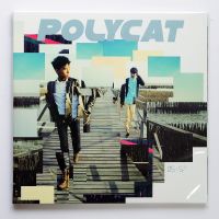 Polycat - 05:57 (Ultra Clear Vinyl)