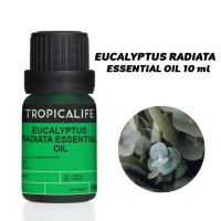 น้ำมันหอมระเหย ยูคาลิปตัว ราเดียต้า ขนาด 10ml EUCALYPTUS RADIATA ESSENTIAL OIL