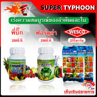 สินค้าชุด เร่งความสมบูรณ์ของลำต้นและใบ 1.พี่บิ๊ก 250มล.(ฮอร์โมน) + 2.ฟอร์มูล่า 250มล.(สารจับใบ) + 3.WESCO (ปุ๋ย 30-20-10) 2กก. / ผสมน้ำได้ 1,000 ล.