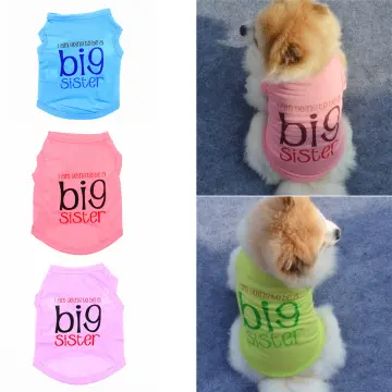 2023 Fashion Dogs Cats Clothes Pet Baseball Wear Cat Dog Jersey Pet  Clothing - China Pet Jersey and Pet Clothing price