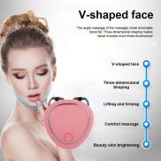 ZZOOI Micro-current V Face Lifting Machine Electric Anti Wrinkle Skin