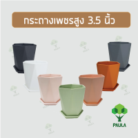 Paula กระถางเพชร 6เหลี่ยม ทรงสูง 3.5 นิ้ว พร้อมจานรอง กระถางแคคตัส ไม้ประดับ ไม้อวบน้ำ กระถางพลาสติก กระถางขาว กระถางสี