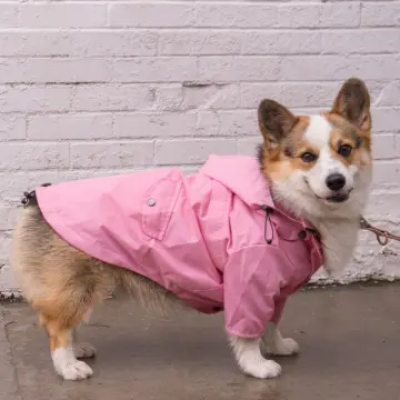 Giant on sale dog raincoat