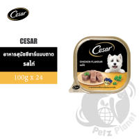 Cesar ซีซาร์ อาหารสุนัข รสไก่ ขนาด100กรัม x 24 ถาด (1กล่อง)