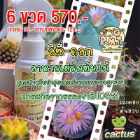 อาหารเสริมต้นไม้ อีซี่ -ดอก 6ขวด 570.- (ขวดละ95.-) สูตรสำหรับบำรุงและเร่งดอกกระบองเพชร