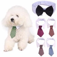 1PC Dog Grooming Cat Striped Bow Tie Collar Pet Adjustable Neck Tie White Collar Dog Necktie Party Wedding Gravata Cachorro