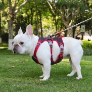 KZNAQQ Nylon Reflective Puppy Chest Strap Oxford Adjustable Dog Safety