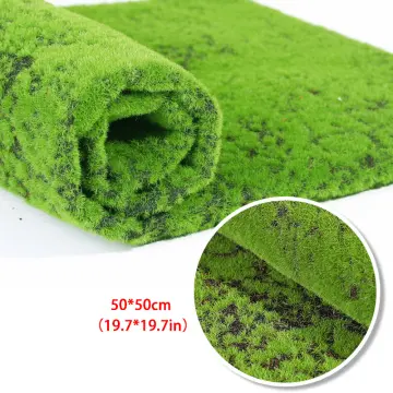 Moss Roll - Best Price in Singapore - Dec 2023