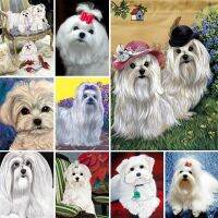 bjh❃㍿  5D Diy Painting Maltese Dog Embroidery Beads Picture By Number Wall