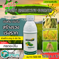 ? เมเธอรอล (อะมิโนแอซิด) ขนาด 500ซีซี แตกยอดใหม่ ขยายผล ฟื้นต้น