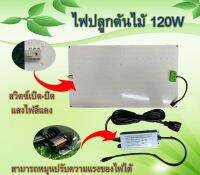 ไฟปลูกต้นไม้ 120W สามารถปรับระดับแสงสว่างได้