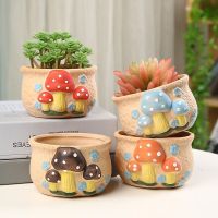 【CC】 Coarse Pottery Flowerpot Colorful Potted Oval Succulent Holes Pot Small Decoration