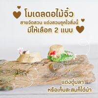 Mini Timber ตอไม้จิ๋ว 2 แบบ อุปกรณ์แต่งสวน อุปกรณ์จัดสวน