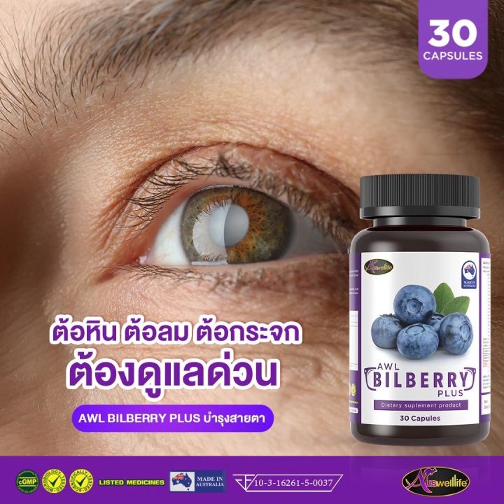 bilberry-บิลเบอร์รี่-บำรุงสายตาด้วยวิตามินจากบิลเบอร์รี่สกัดเข้มข้น-10-000mg-ส่งฟรี