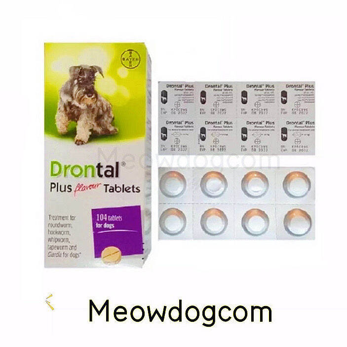 is drontal safe for dogs