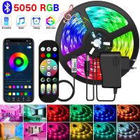 5M-30M LED Strip lights Bluetooth 24V 5050 5V 12V Remote control panel+power supply tape diode LED neon night light for room TV LED Strip Lighting